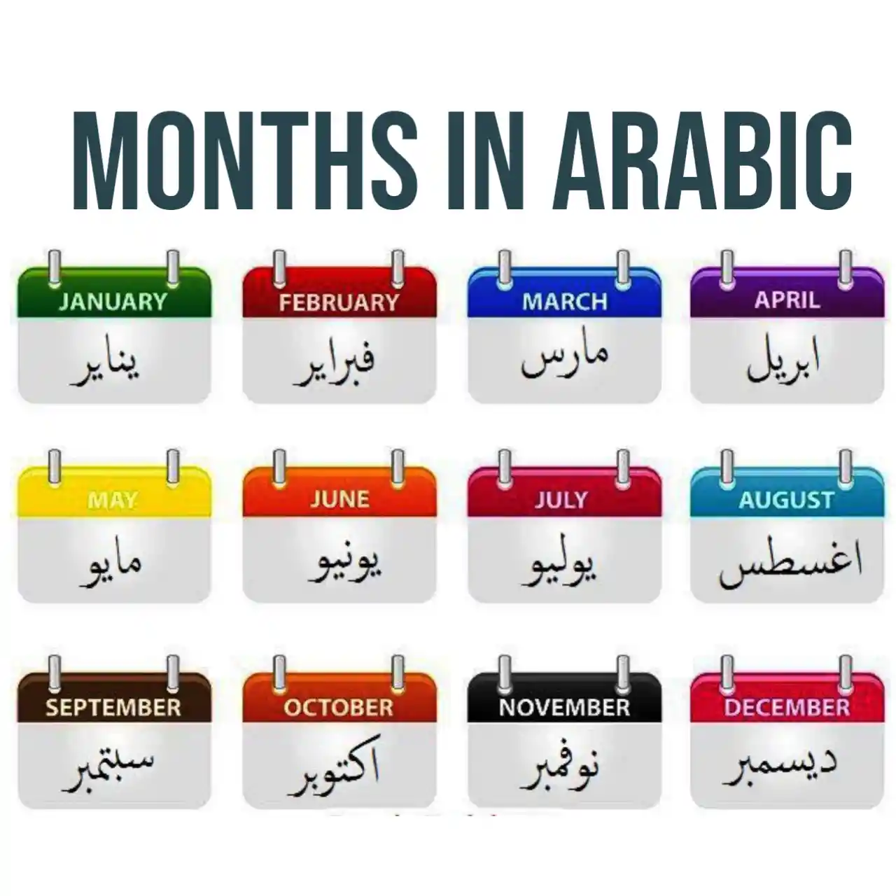 the-english-arabic-days-and-months-flashcards-pack-vrogue-co