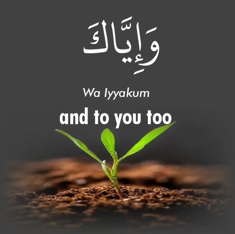 Wa Iyyakum in Arabic and Meaning In English (Male And Female)